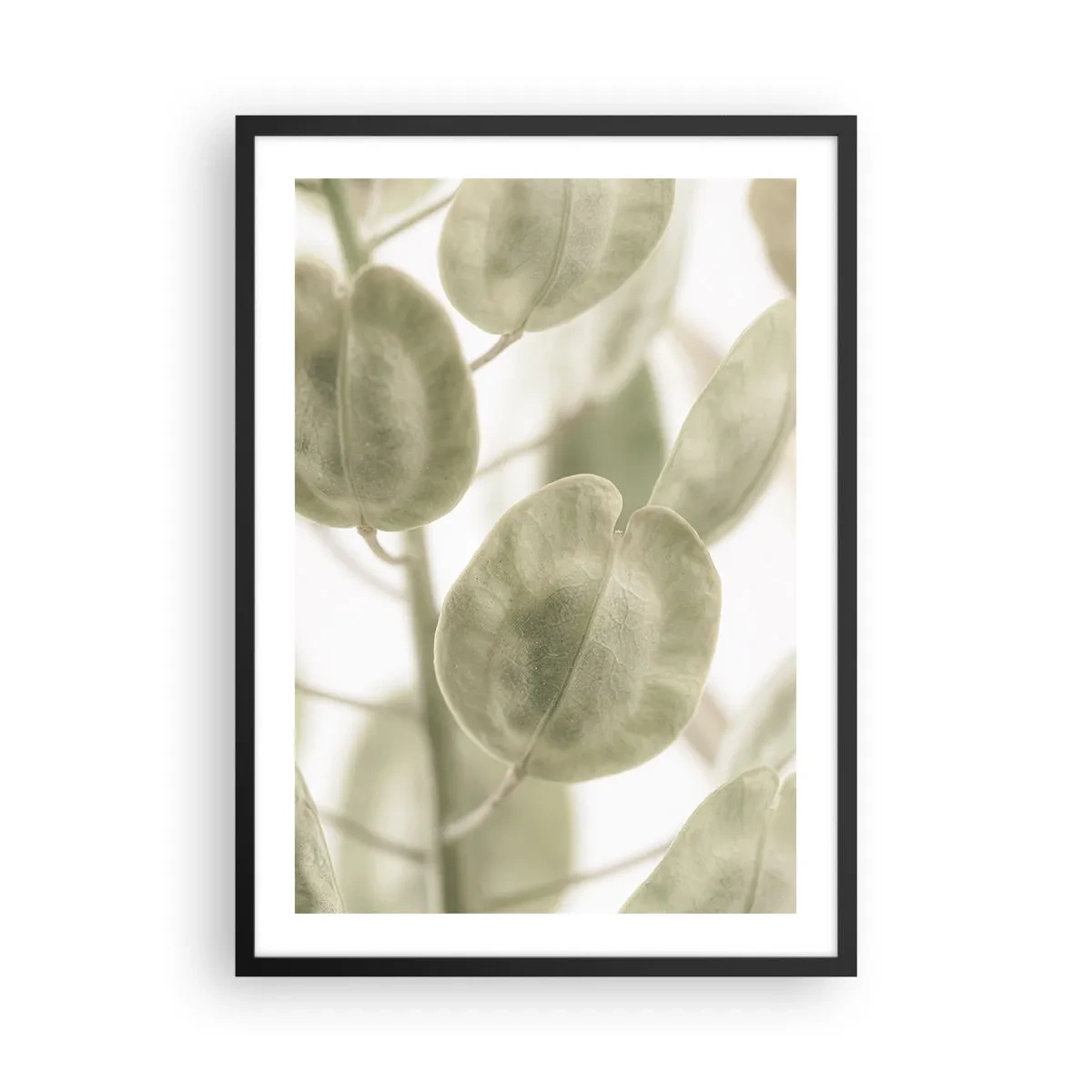 Poster in een zwarte lijst - Close-up van groene bladeren in natuurlijk licht - 50x70cm - In het begin waren er bladeren... - Moderne wanddecoratie voor woonkamer en slaapkamer ARTTOR