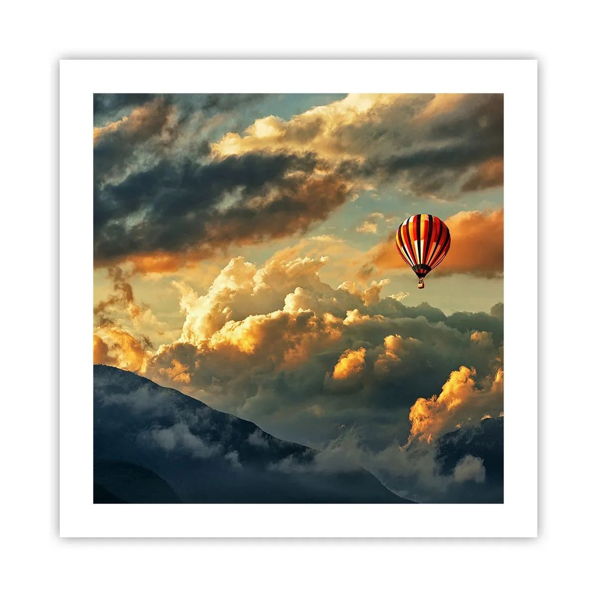 Poster - Ik vlieg omdat ik dat wil - 50x50 cm