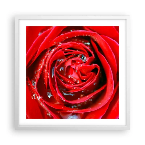 Poster in een witte lijst - In de dauwdruppels - 50x50 cm