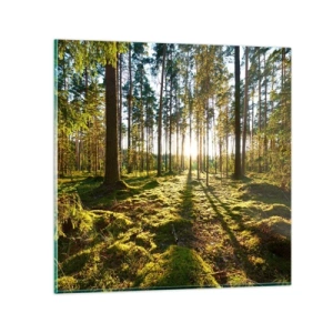 Schilderen op glas - … Achter de zeven bossen - 70x70 cm