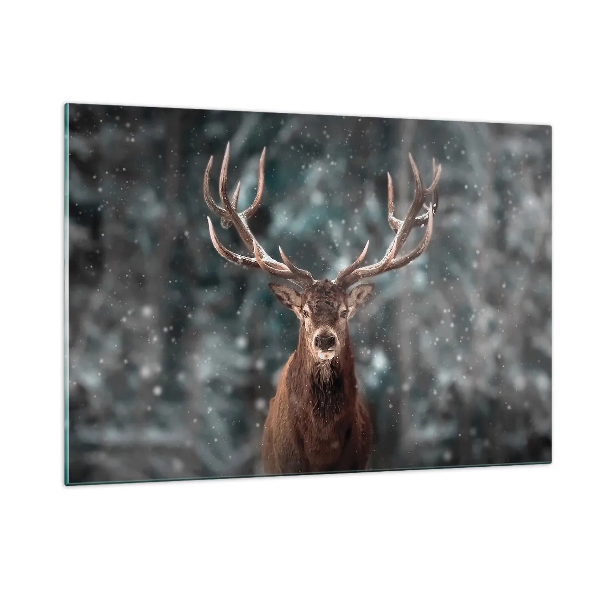 Schilderen op glas - Gekroond tot koning van het bos - 120x80 cm
