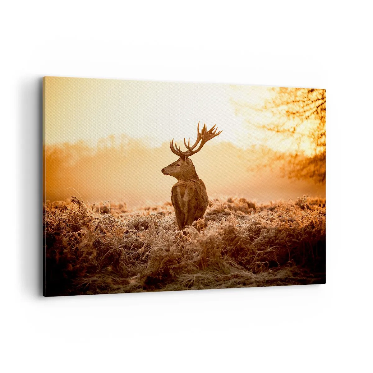 Schilderen op canvas - Heer van het landgoed - 100x70 cm