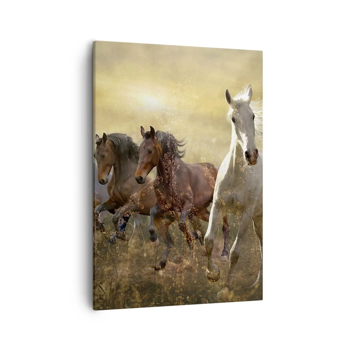 Schilderen op canvas - Lang leve de vrijheid! - 50x70 cm