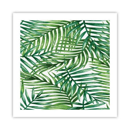 Poster - Onder de groene luifel - 50x50 cm