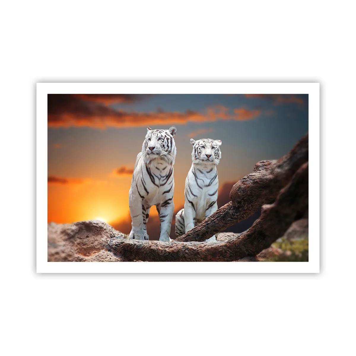 Poster - Net als in Narnia - 91x61 cm