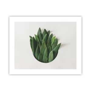 Poster - Ongebreidelde nieuwsgierigheid - 50x40 cm