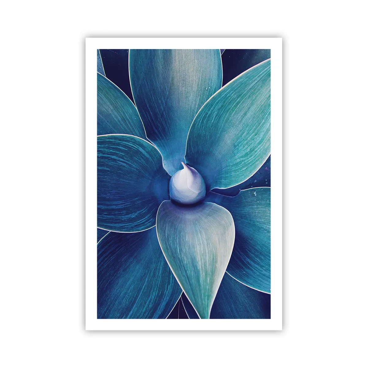 Poster - Blauw uit de lucht - 61x91 cm