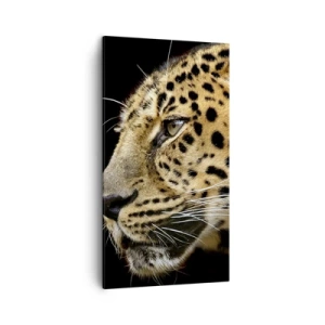 Schilderen op canvas - Rustig, gefocust, klaar - 45x80 cm