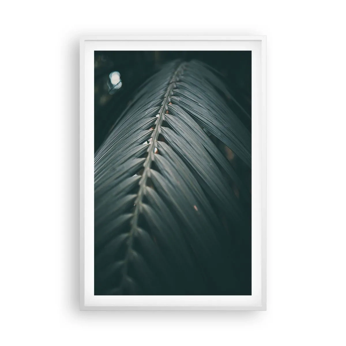 Poster in een witte lijst - De precisie van de natuur - 61x91 cm