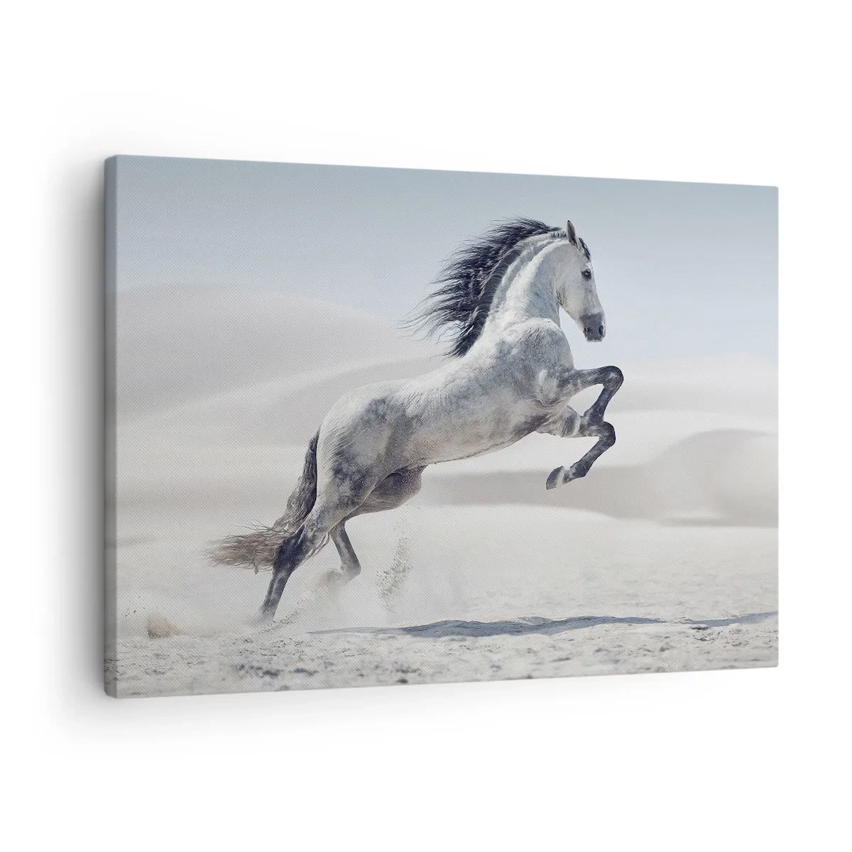 Schilderen op canvas - Arabische prins - 70x50 cm