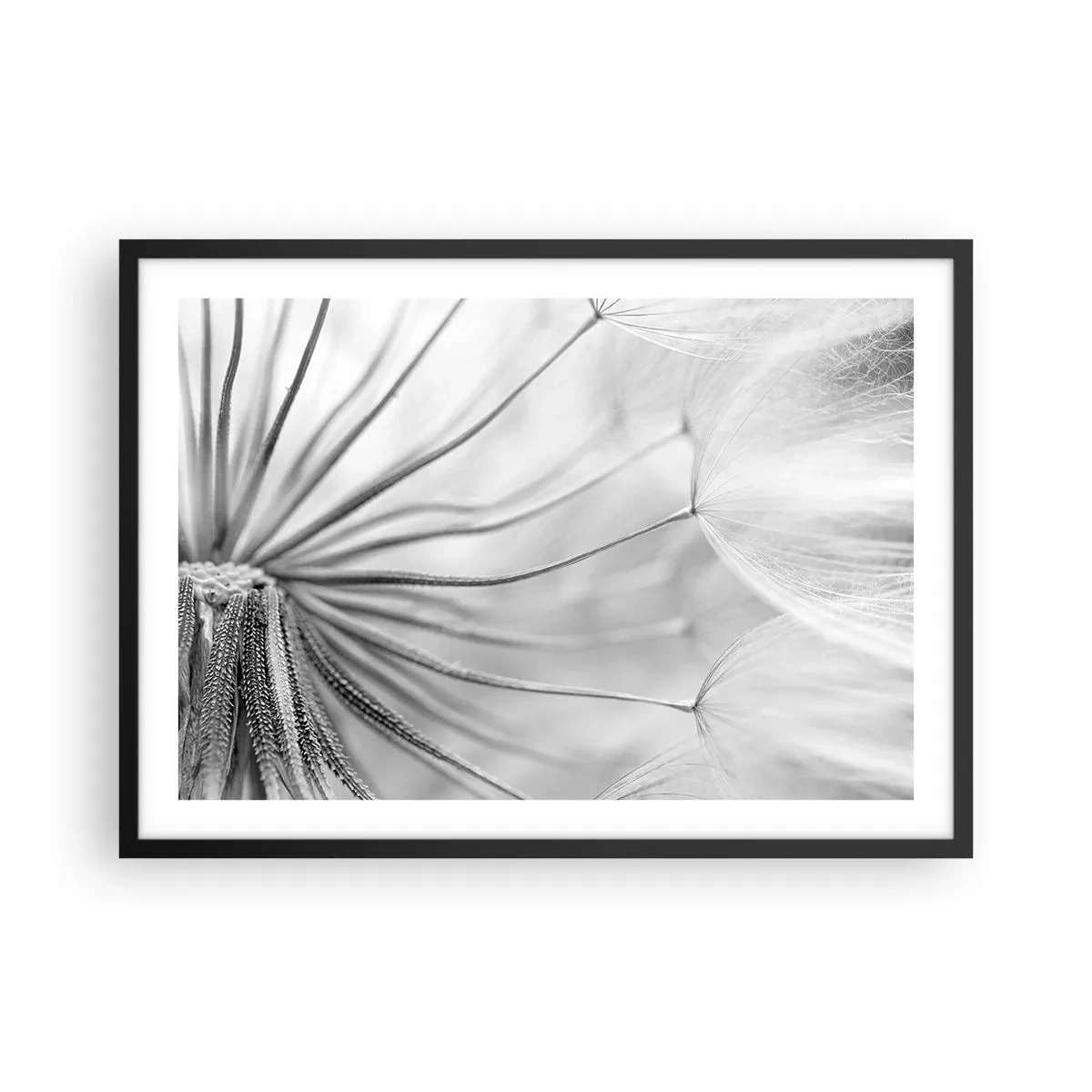Poster in een zwarte lijst - Paardebloemen, vliegers - 70x50 cm