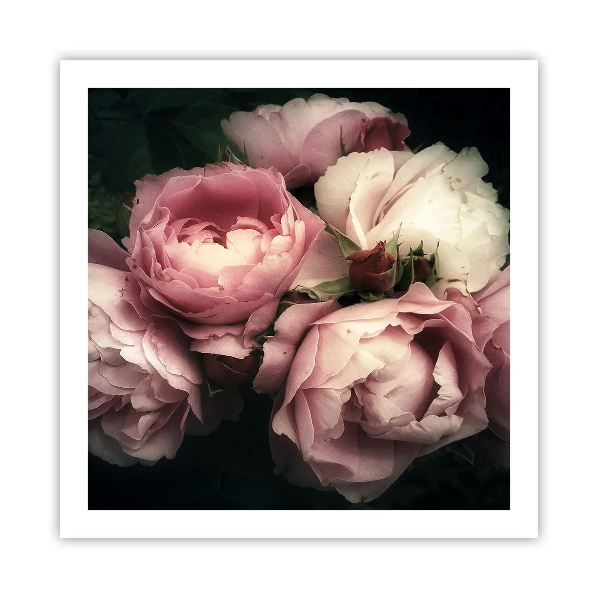 Poster - De charme van belle epoque - 60x60 cm