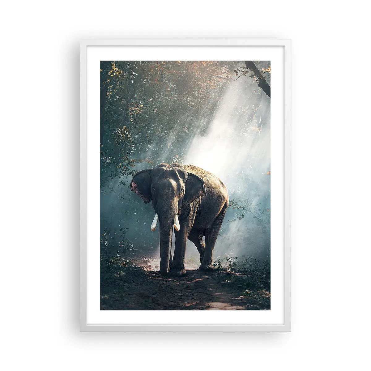 Poster in een witte lijst - Een ontspannen wandeling - 50x70 cm