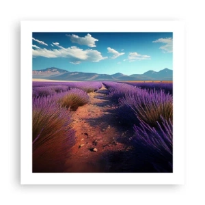 Poster - Geurige velden - 50x50 cm