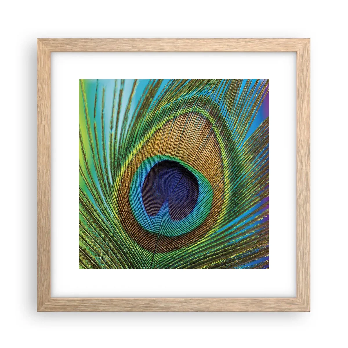 Een poster in een licht eiken lijst - Oog in oog - 30x30 cm