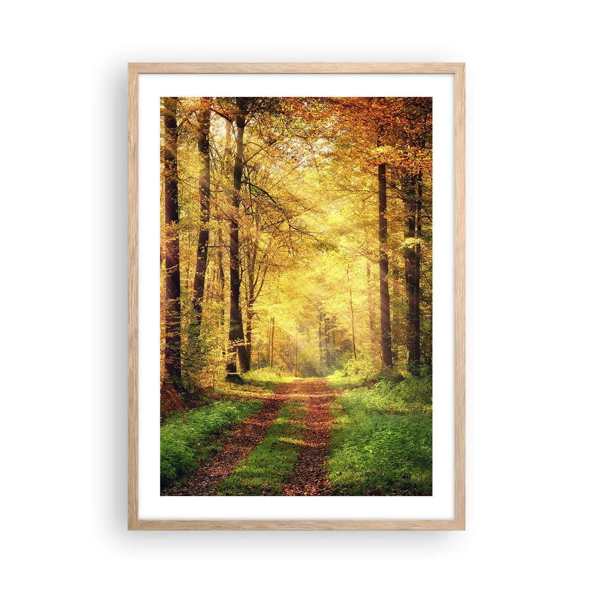 Een poster in een licht eiken lijst - Bos-gouden stilte - 50x70 cm
