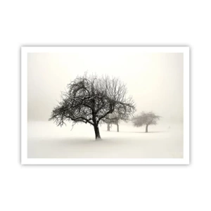 Poster - Winterslaap - 100x70 cm