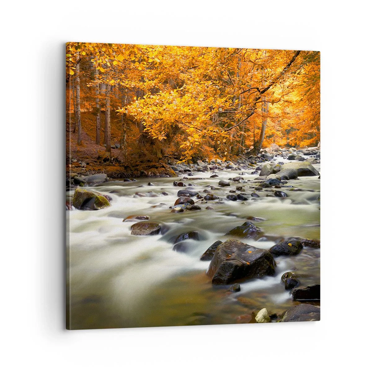 Schilderen op canvas - Een stroom in een gouden bos - 60x60 cm