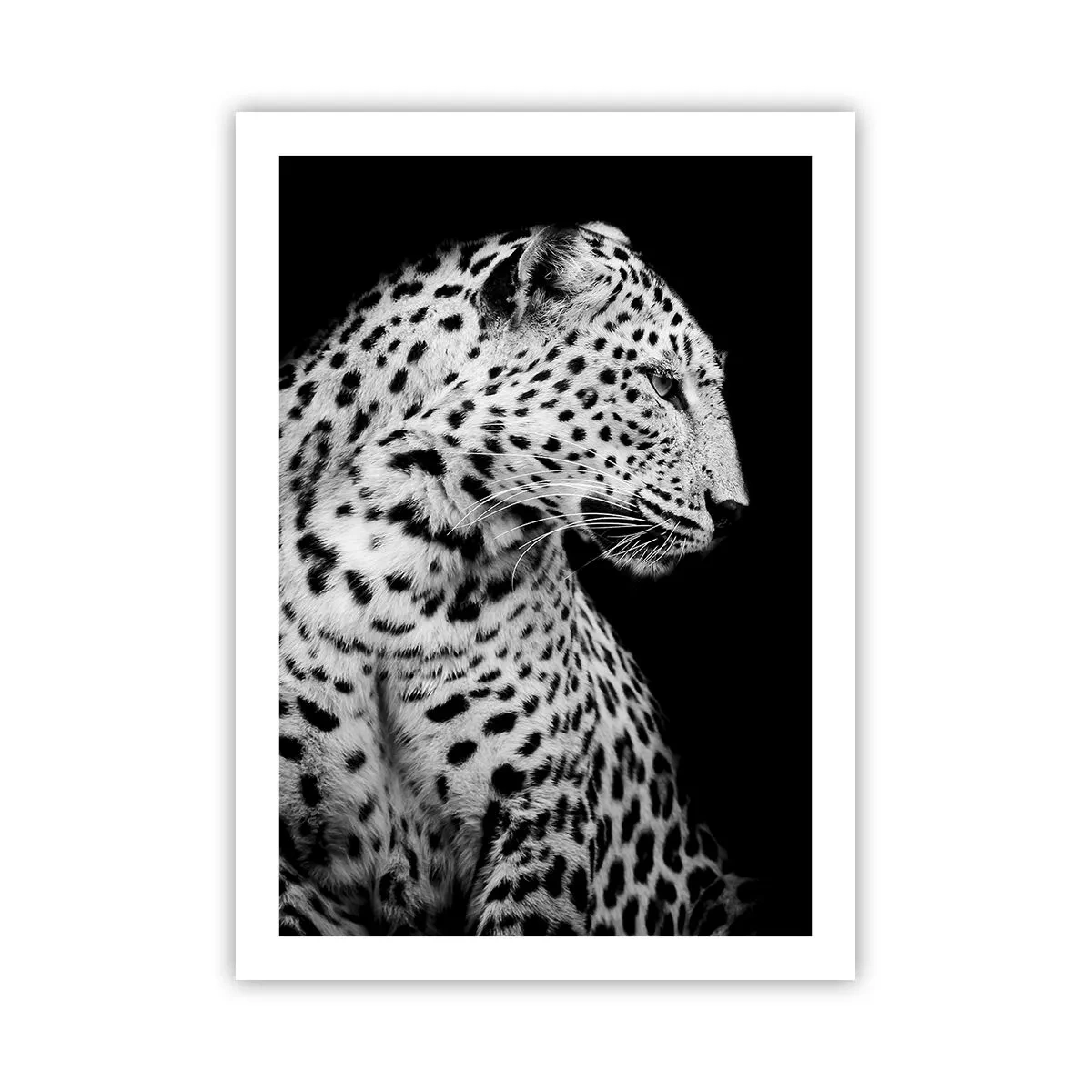 Poster - Juist profiel perfect! - 50x70 cm
