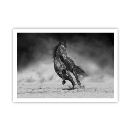 Poster - De emir zelf waardig - 100x70 cm