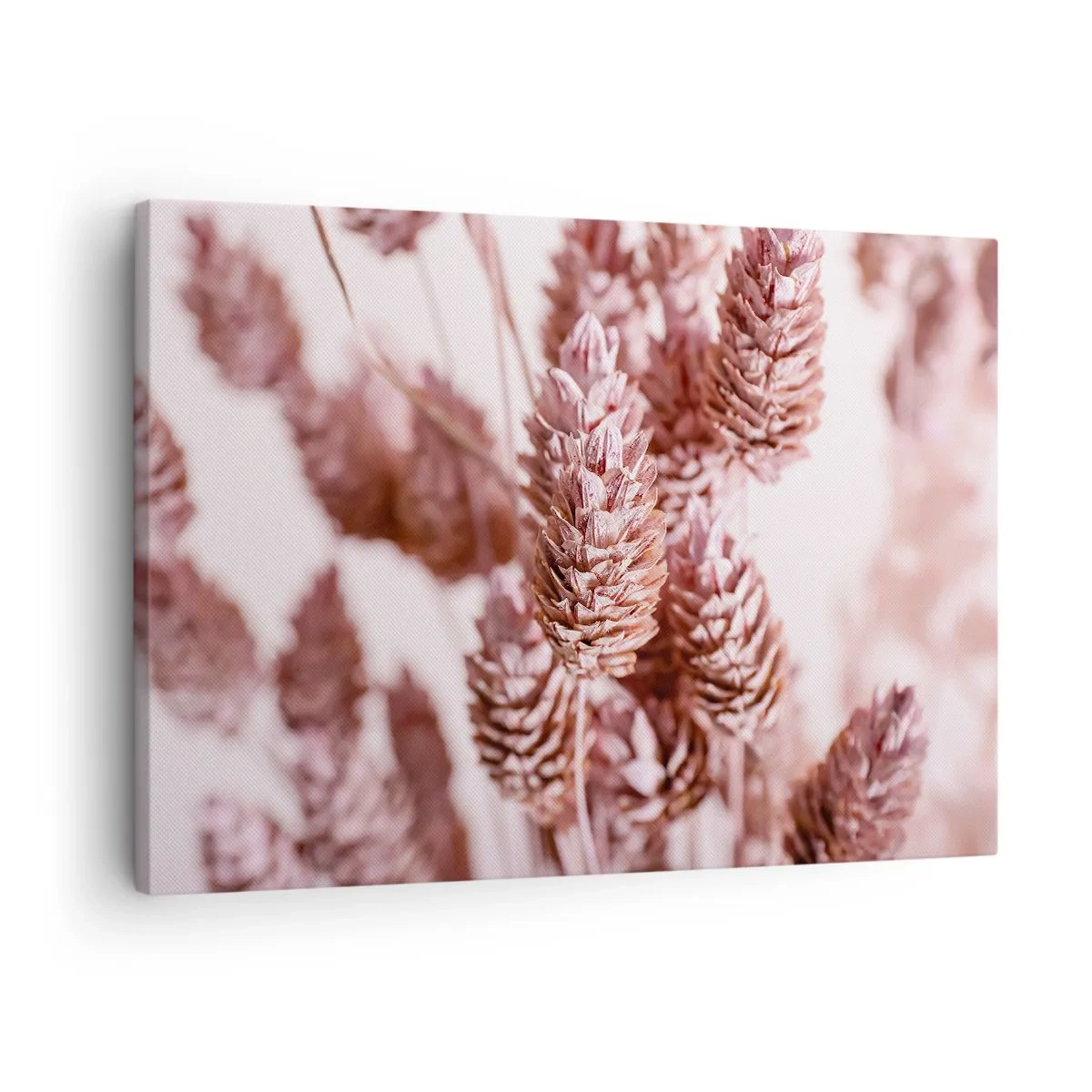 Schilderen op canvas - Een close-up van de delicate roze aren van siergrassen - 70x50cm - Schijnbaar onopvallend - Moderne wanddecoratie voor woonkamer en slaapkamer ARTTOR
