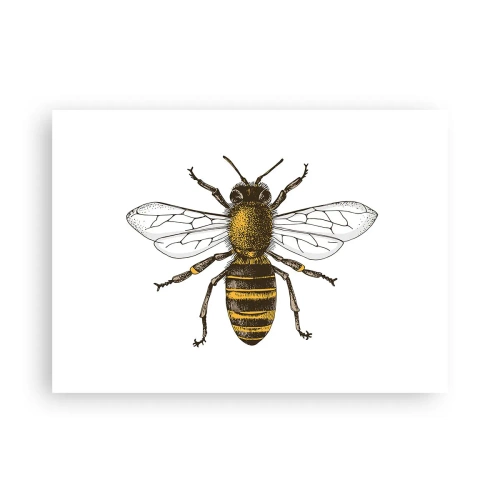 Poster - Mooi en goed - 70x50 cm