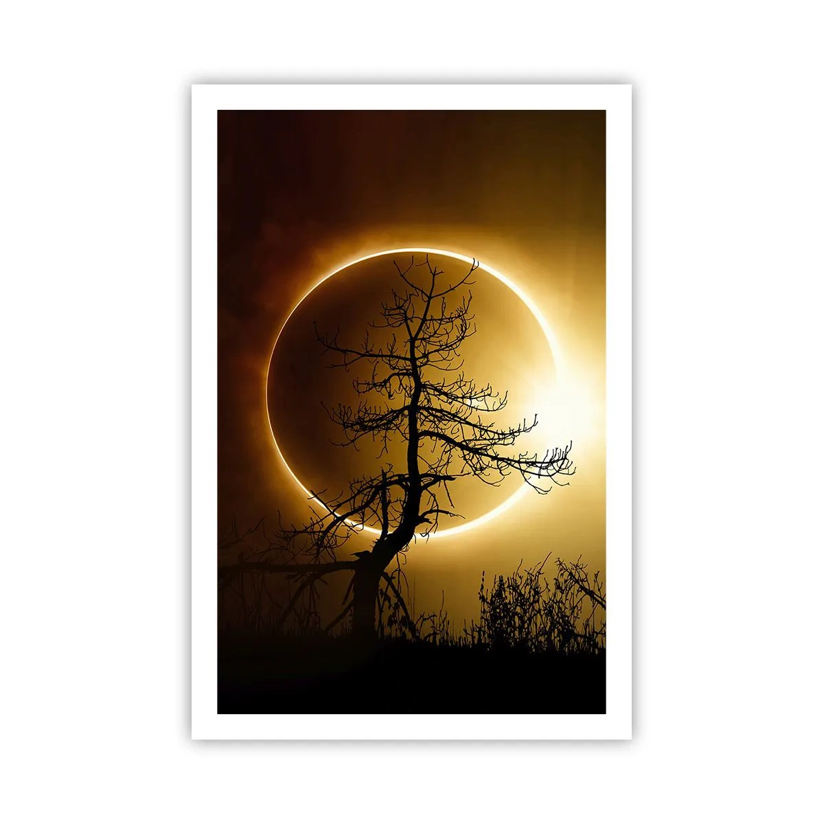 Poster - Totale zonsverduistering - 61x91 cm