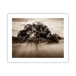 Poster - Boom van goede kennis alleen - 50x40 cm