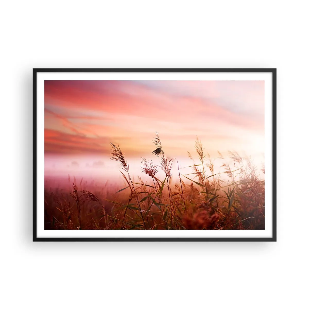 Poster in een zwarte lijst - Vliegers, paardebloemen, wind - 100x70 cm