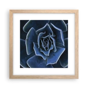 Een poster in een licht eiken lijst - Woestijn bloem - 30x30 cm