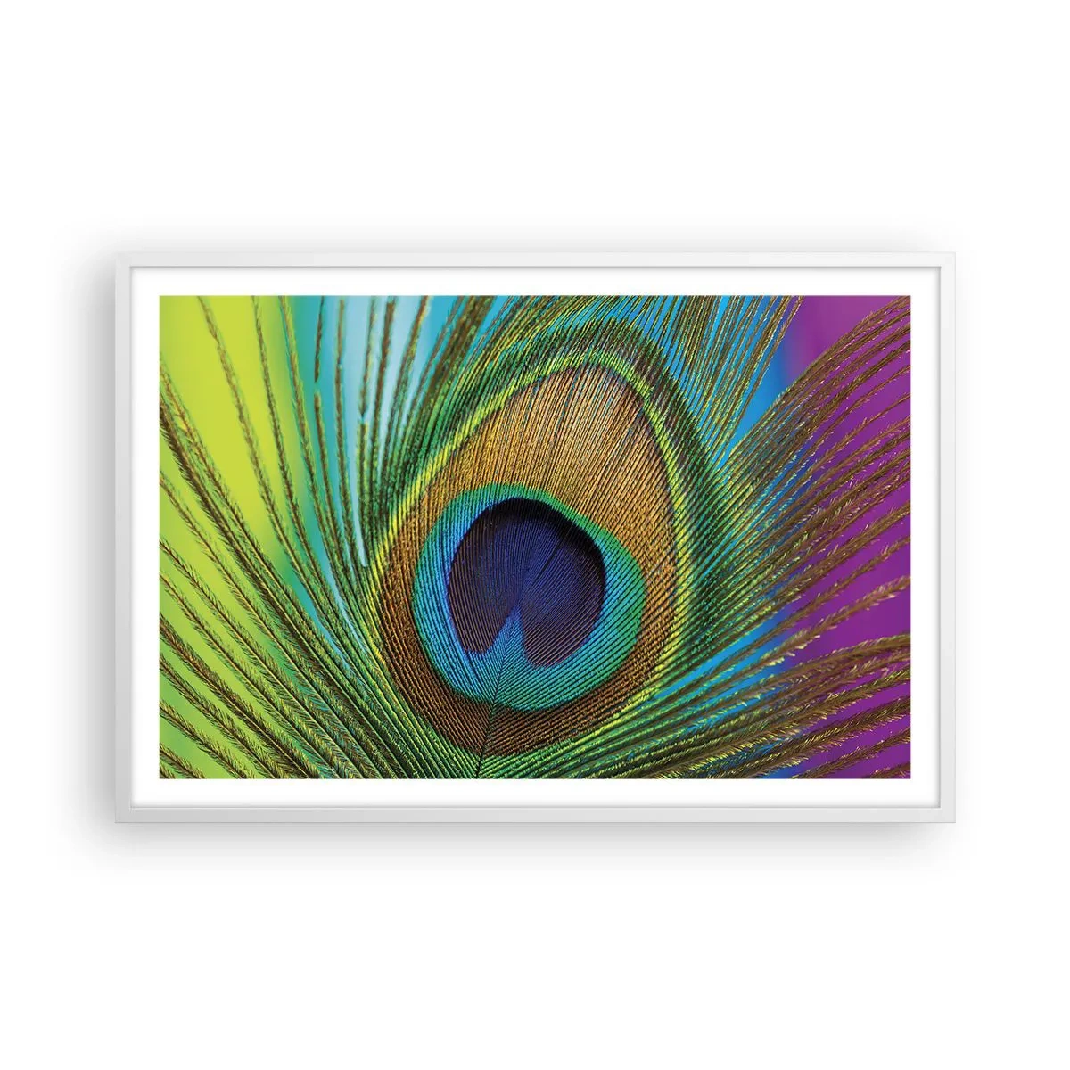 Poster in een witte lijst - Oog in oog - 91x61 cm