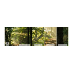 Fotobehang Monster Premium Sand - Bosmoment - Landschap, Woud, Natuur - 100x30 cm