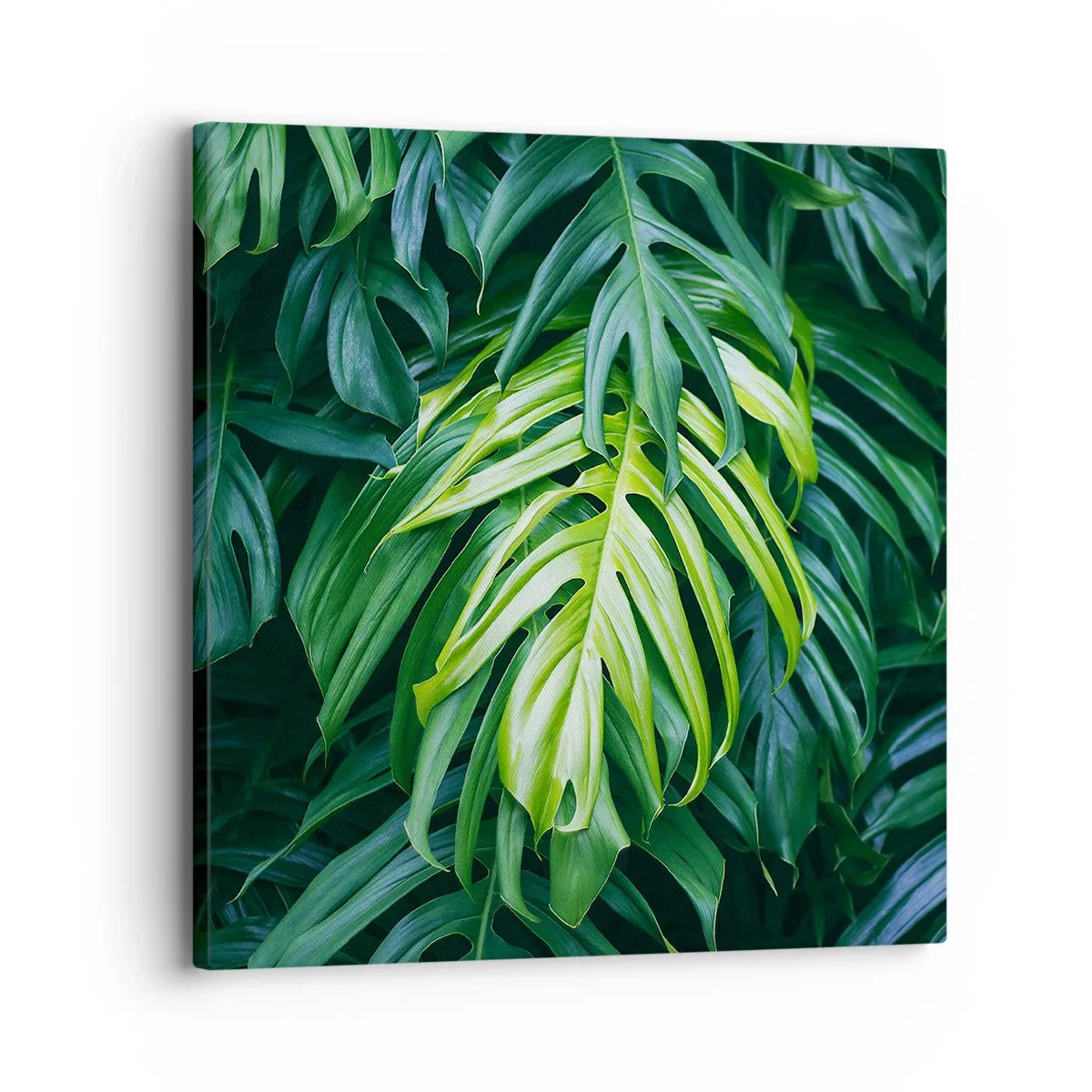 Schilderen op canvas - Dompel jezelf onder in de frisheid - 30x30 cm