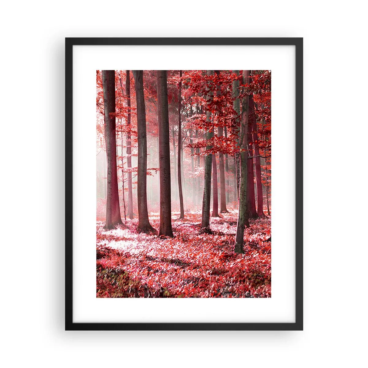 Poster in een zwarte lijst - Rood is net zo mooi - 40x50 cm