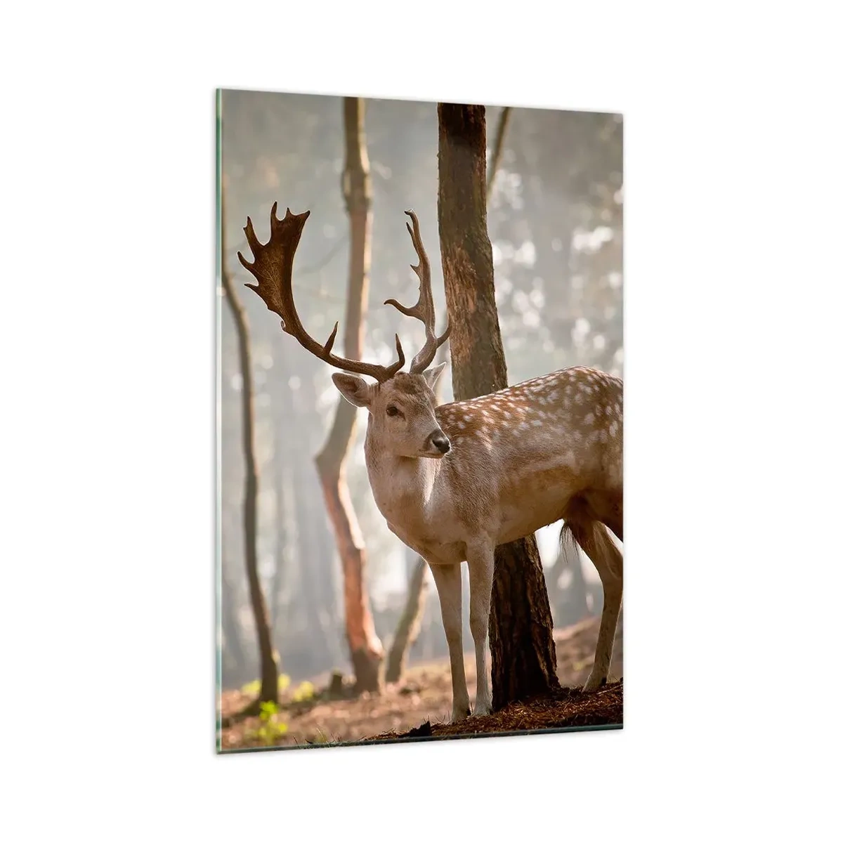 Schilderen op glas - Het licht van de jeugd - 80x120 cm