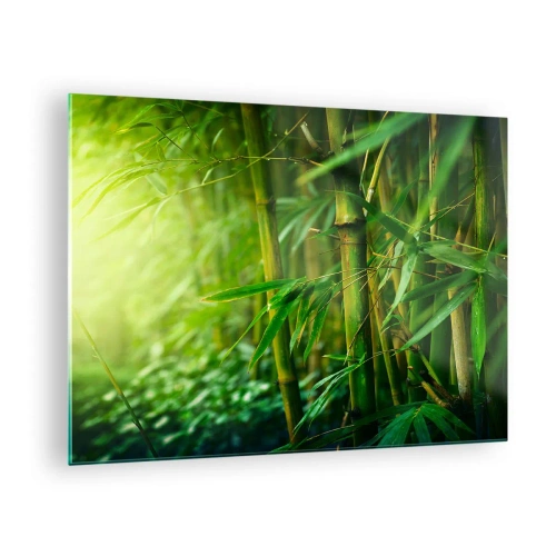 Schilderen op glas - Groen bamboebos in de zon - 70x50cm - Maak kennis met groen zelf - Moderne wanddecoratie voor woonkamer en slaapkamer ARTTOR