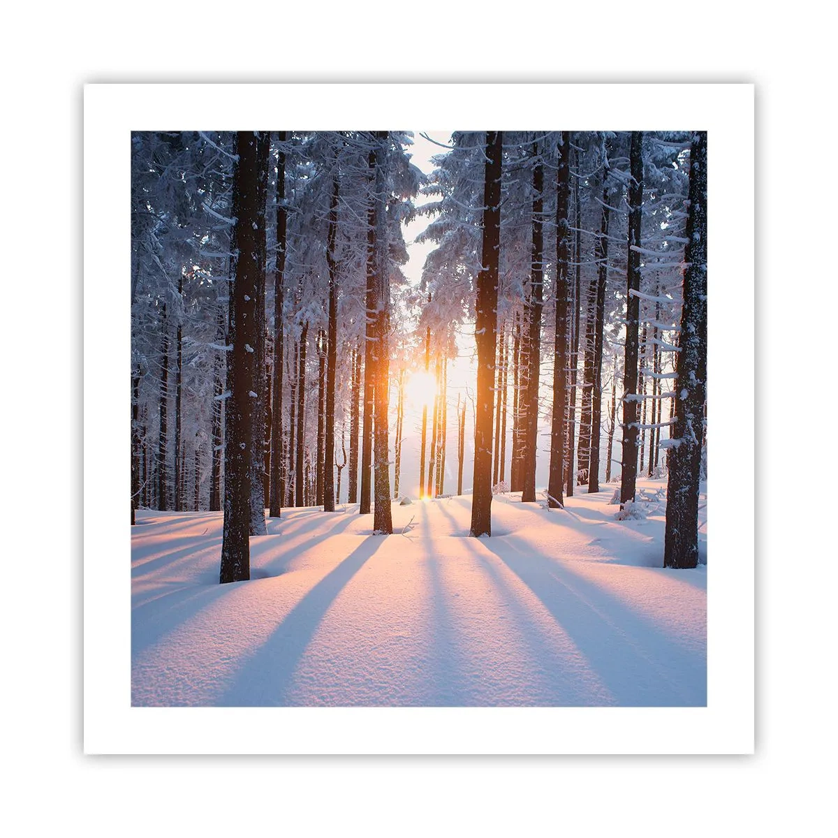 Poster - Duidelijk in zwart-wit - 50x50 cm