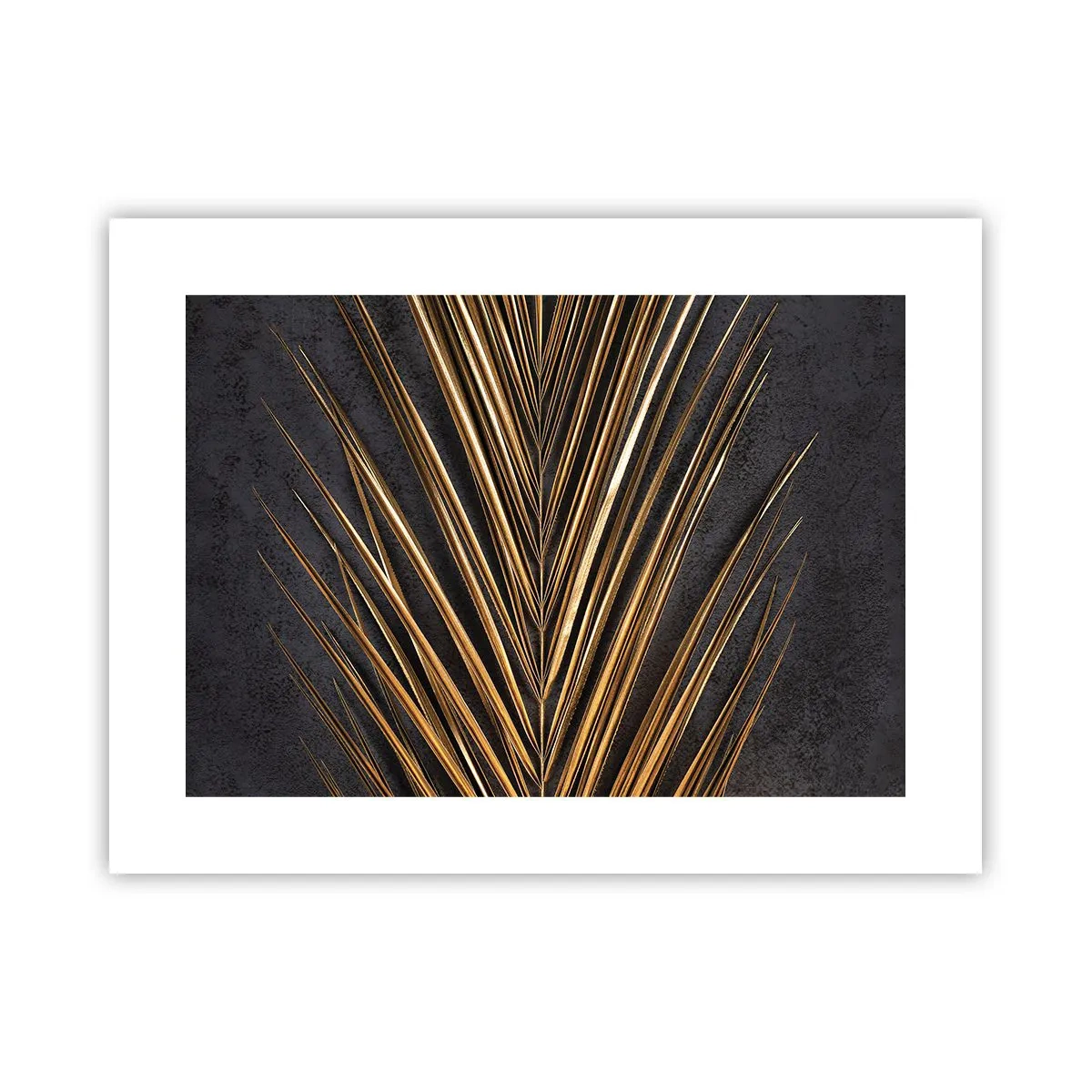 Poster - Het goud van de tropen - 40x30 cm