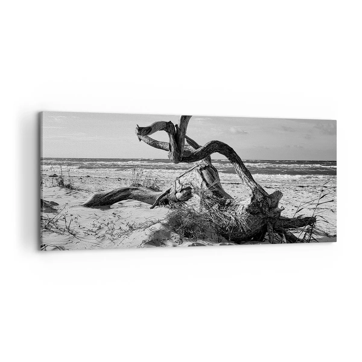 Schilderen op canvas - Zee sculptuur - 100x40 cm