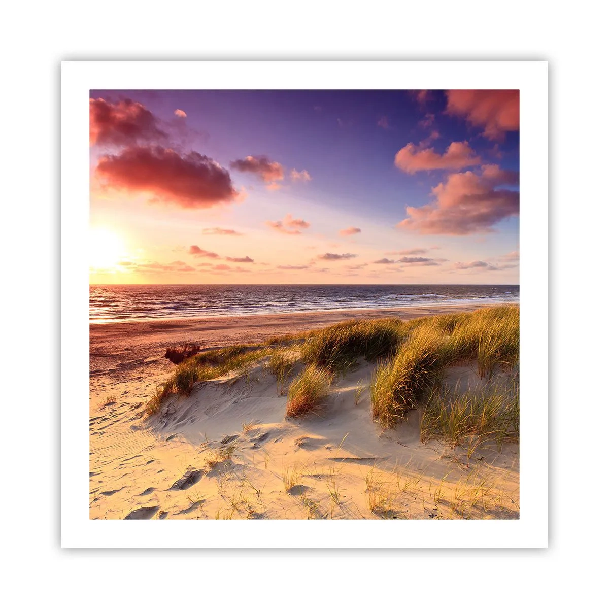 Poster - De lucht ruikt al in de zomer - 60x60 cm
