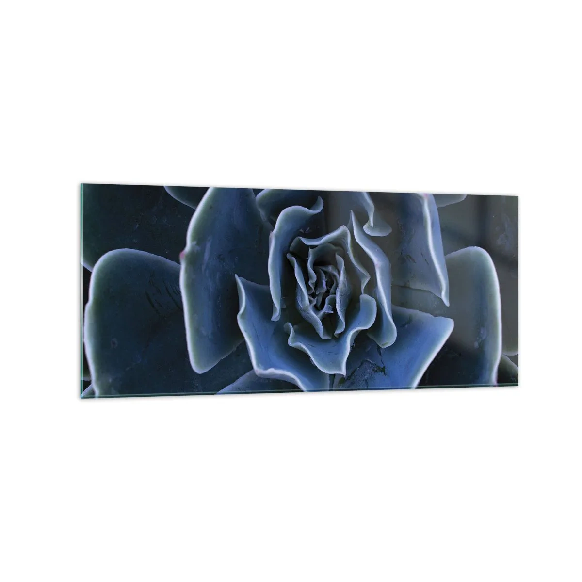 Schilderen op glas - Woestijn bloem - 120x50 cm