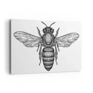 Schilderen op canvas - Insectenportret - 120x80 cm