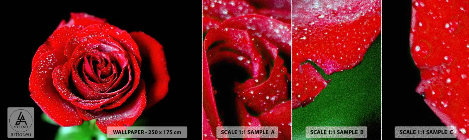 Fotobehang Monster Premium Sand - Dit is liefde - Bloemen, Rode roos, Rozenblaadjes - 100x30 cm