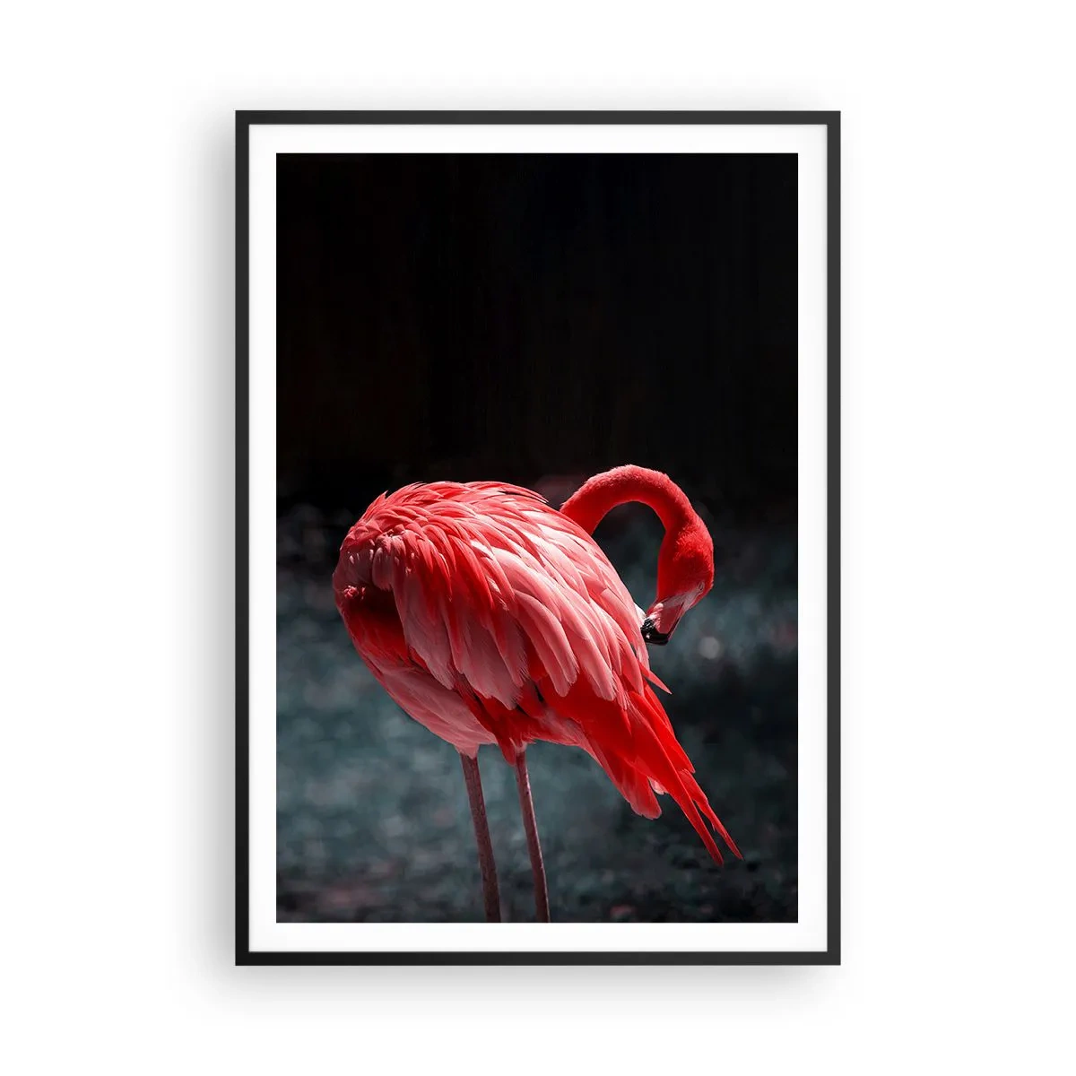 Poster in een zwarte lijst - Een karmozijnrood gedicht van de natuur - 70x100 cm