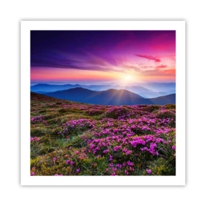 Poster - Kruiden roken naar verse trossen van de velden - 60x60 cm