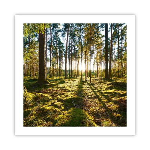 Poster - … Achter de zeven bossen - 50x50 cm
