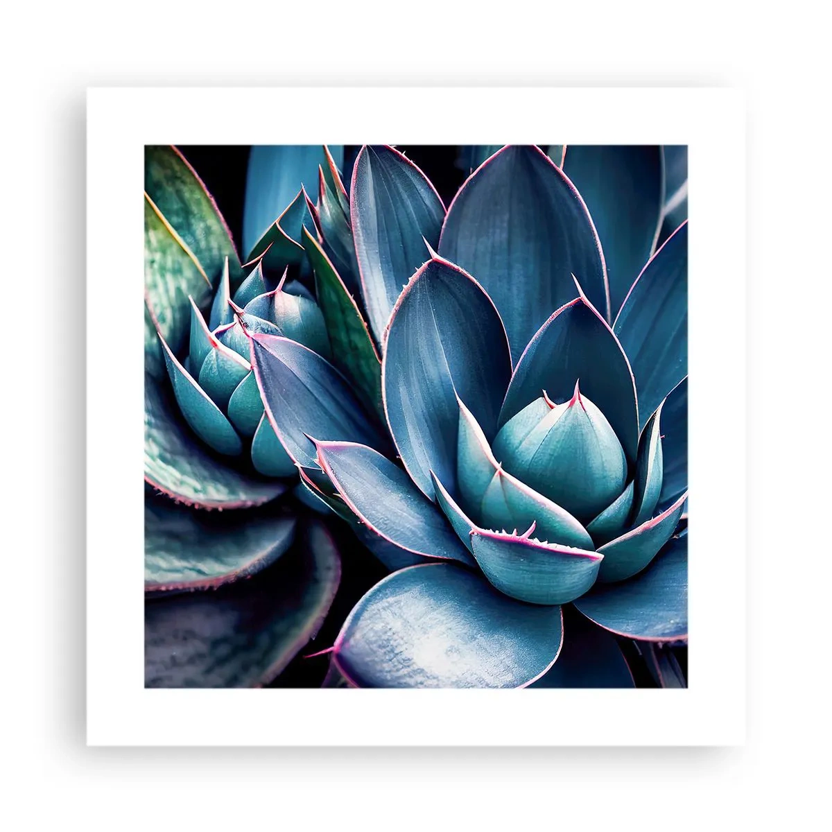 Poster - Levenskracht - 40x40 cm