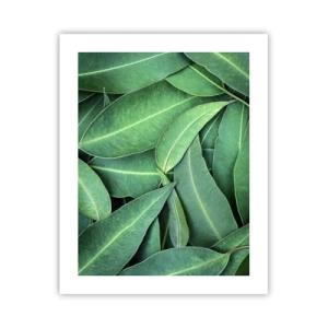 Poster - Sappig en fris - 40x50 cm