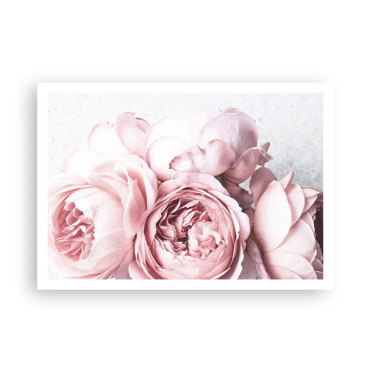 Poster - Voor romantici - 100x70 cm