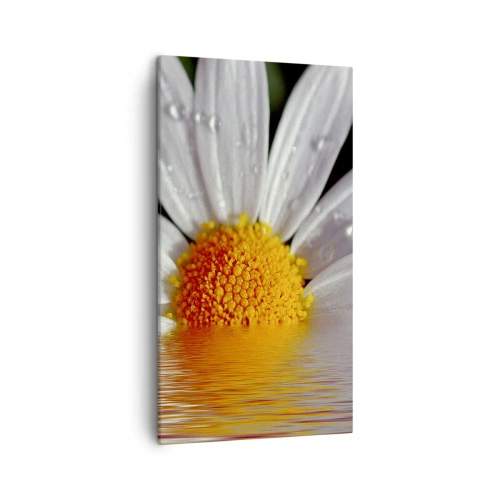 Schilderen op canvas - De rijzende zon van madeliefjes - 45x80 cm